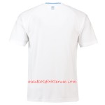 Maillot/Tenue Uruguay Exterieur Coupe du monde 2018